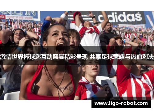 激情世界杯球迷互动盛宴精彩呈现 共享足球荣耀与热血对决