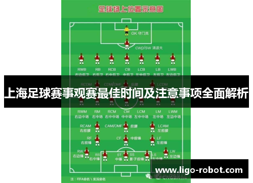 上海足球赛事观赛最佳时间及注意事项全面解析