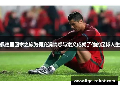 佩德里回家之旅为何充满情感与意义成就了他的足球人生