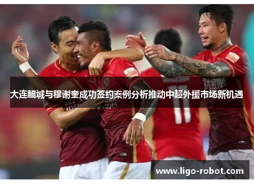 大连鲲城与穆谢奎成功签约案例分析推动中超外援市场新机遇