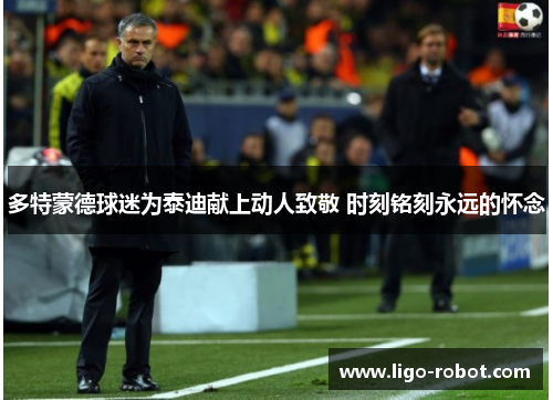 多特蒙德球迷为泰迪献上动人致敬 时刻铭刻永远的怀念