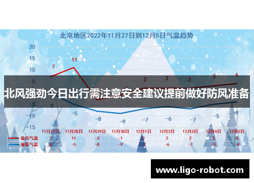 北风强劲今日出行需注意安全建议提前做好防风准备