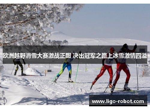 欧洲越野滑雪大赛激战正酣 决出冠军之路上冰雪激情四溢