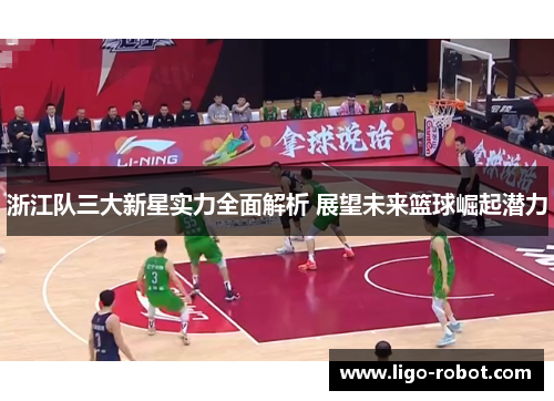 浙江队三大新星实力全面解析 展望未来篮球崛起潜力