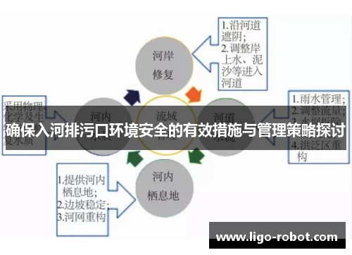确保入河排污口环境安全的有效措施与管理策略探讨