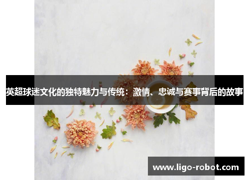 英超球迷文化的独特魅力与传统：激情、忠诚与赛事背后的故事