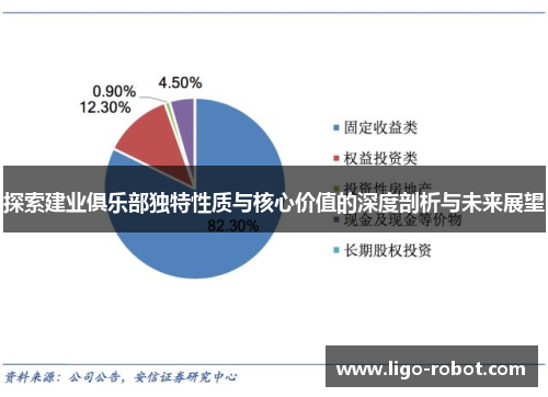 探索建业俱乐部独特性质与核心价值的深度剖析与未来展望