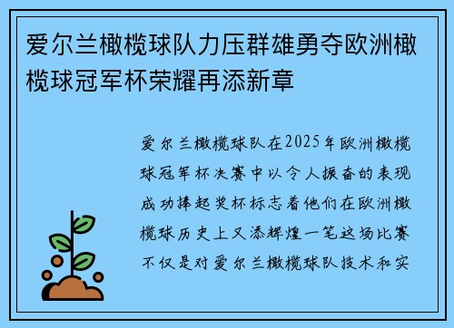 爱尔兰橄榄球队力压群雄勇夺欧洲橄榄球冠军杯荣耀再添新章